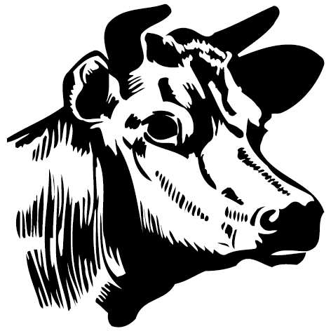 Sticker tête de boeuf